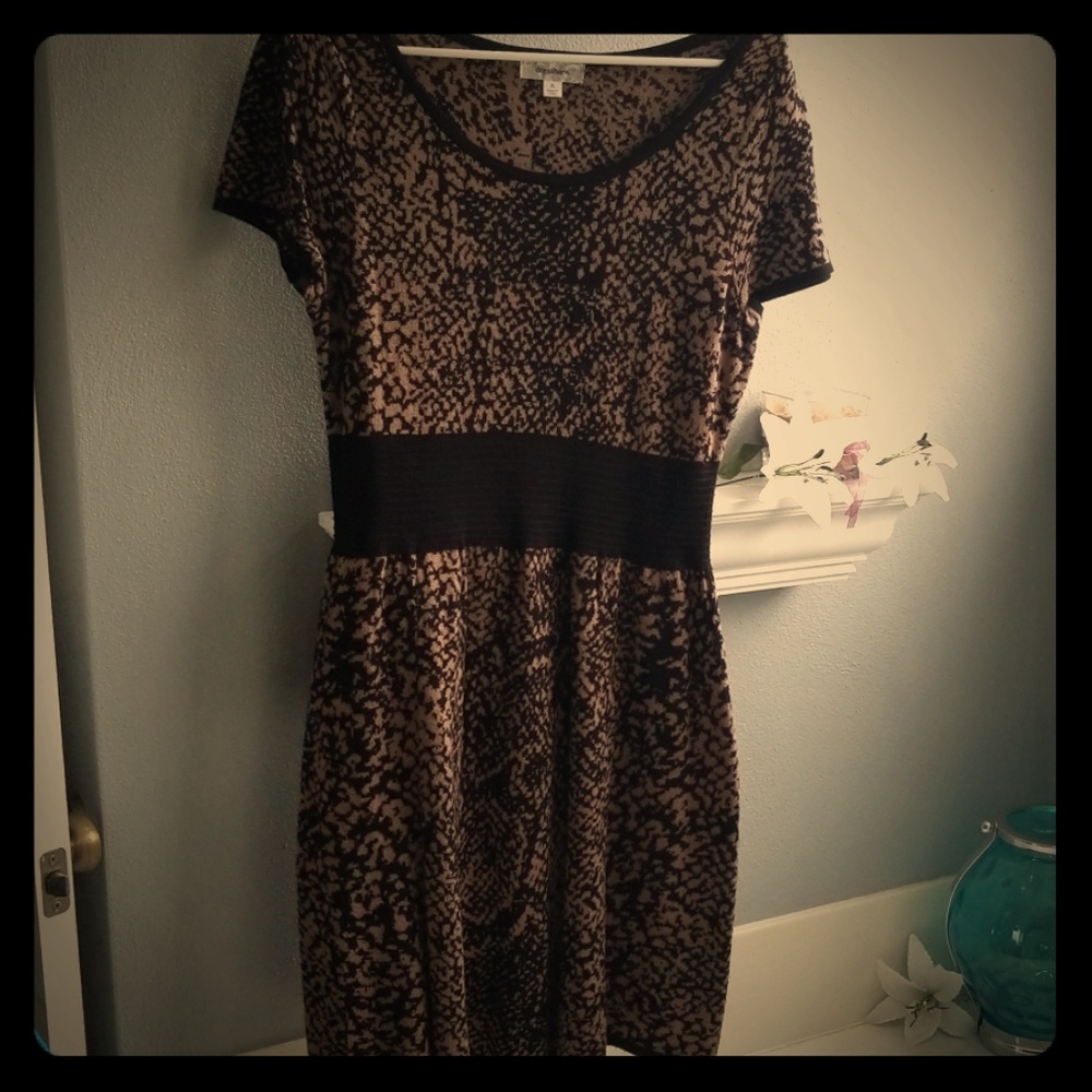 Brown and black dress with band waistline accent